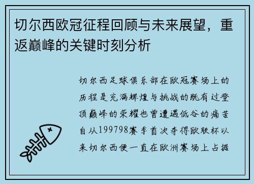 切尔西欧冠征程回顾与未来展望，重返巅峰的关键时刻分析