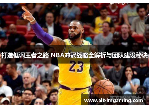 打造低调王者之路 NBA冲冠战略全解析与团队建设秘诀