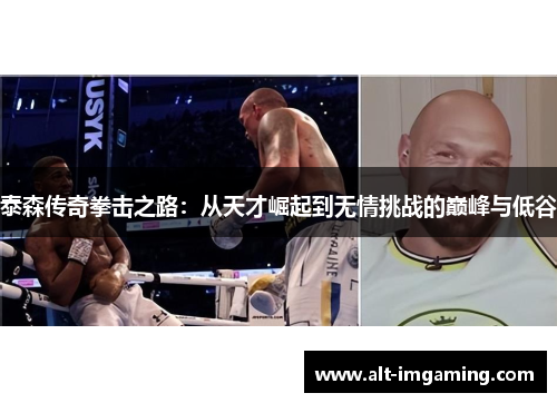 泰森传奇拳击之路：从天才崛起到无情挑战的巅峰与低谷
